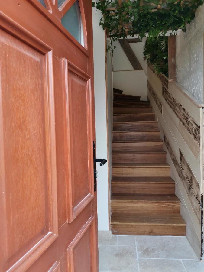 Kinabalu - Domaine Tropical Saint-Aignan (Loir-et-Cher)